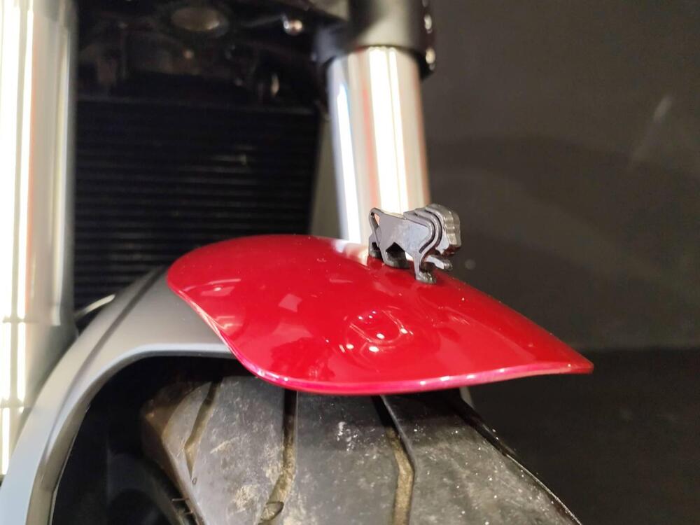 Benelli Leoncino 500 (2021 - 25) (15)