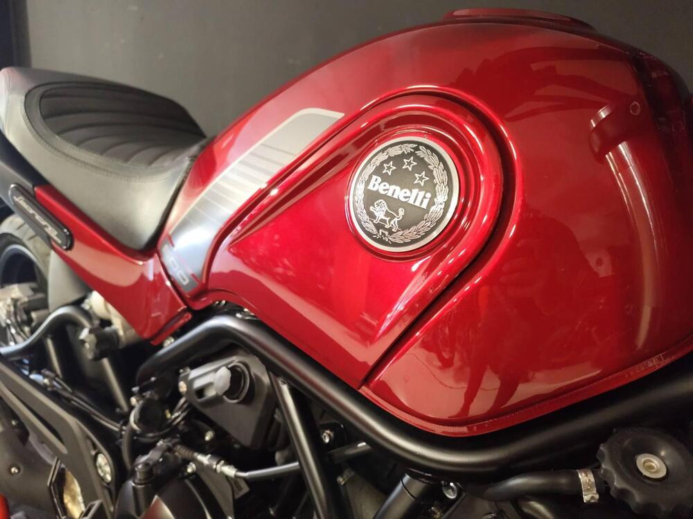 Benelli Leoncino 500 (2021 - 25) (11)