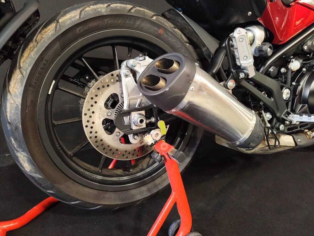 Benelli Leoncino 500 (2021 - 25) (19)