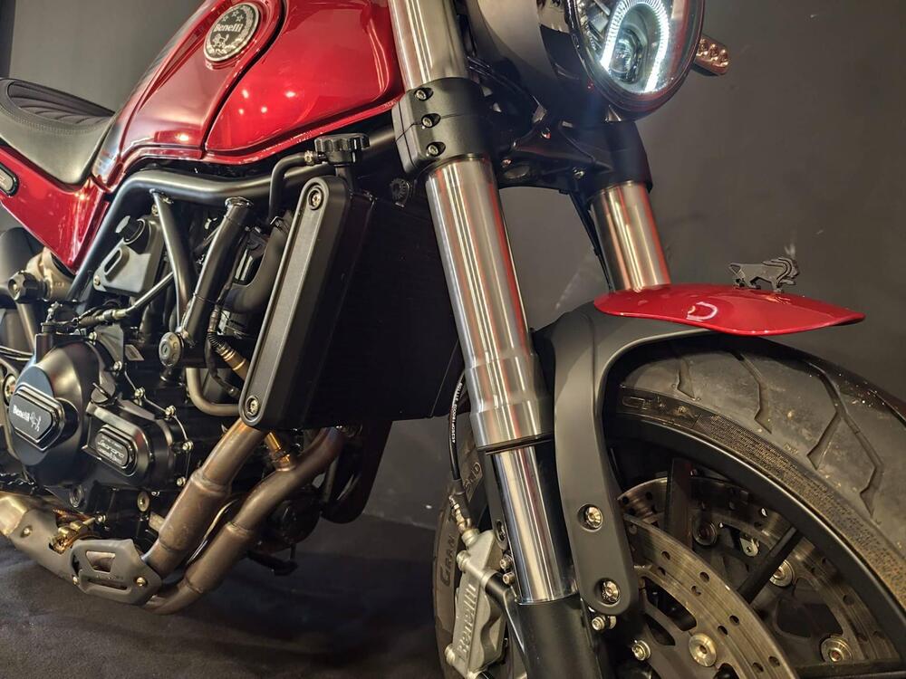 Benelli Leoncino 500 (2021 - 25) (10)