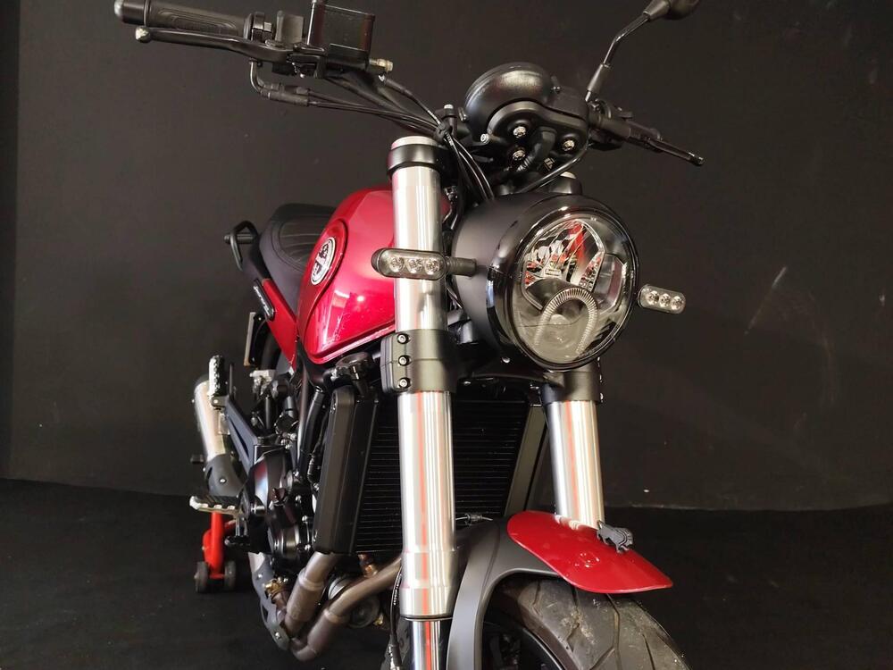 Benelli Leoncino 500 (2021 - 25) (3)