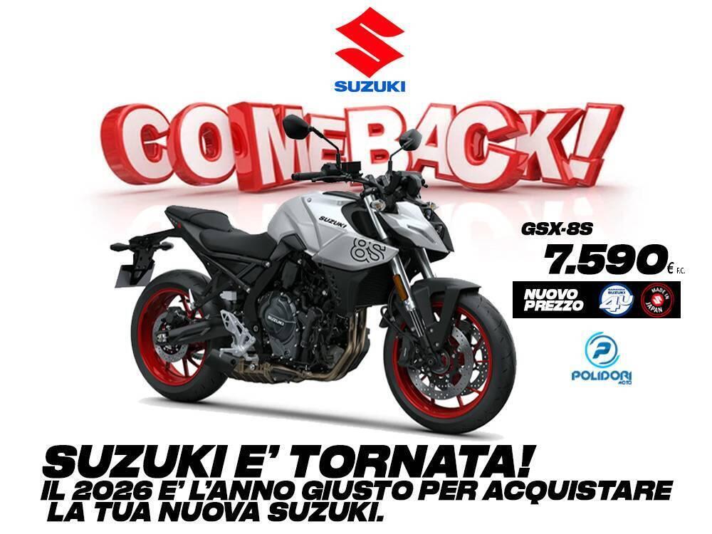 Suzuki GSX-8S (2025 - 26)