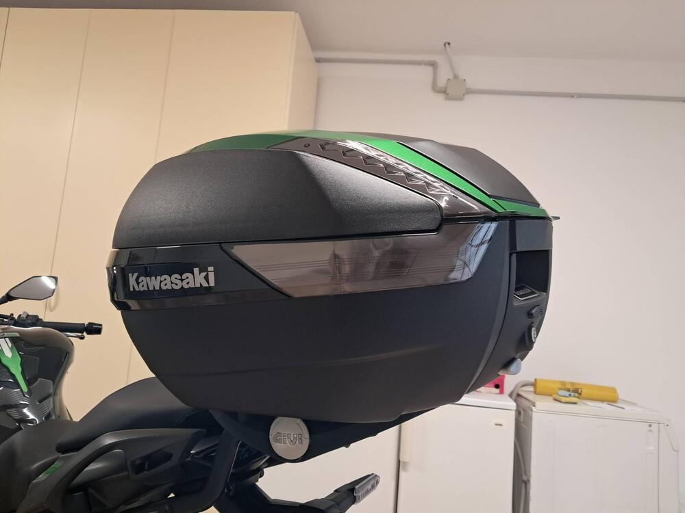 Kawasaki Ninja 1000 SX (2021 - 24) (4)