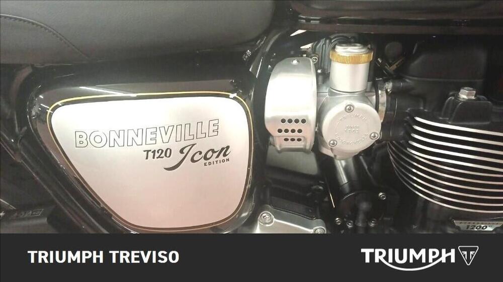 Triumph Bonneville T120 Icon Edition (2025 - 26) (3)
