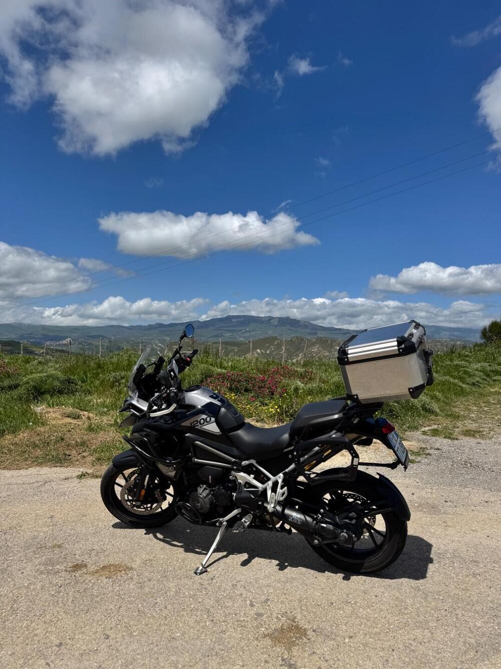 Triumph Tiger 1200 GT Pro (2022 - 23) (6)