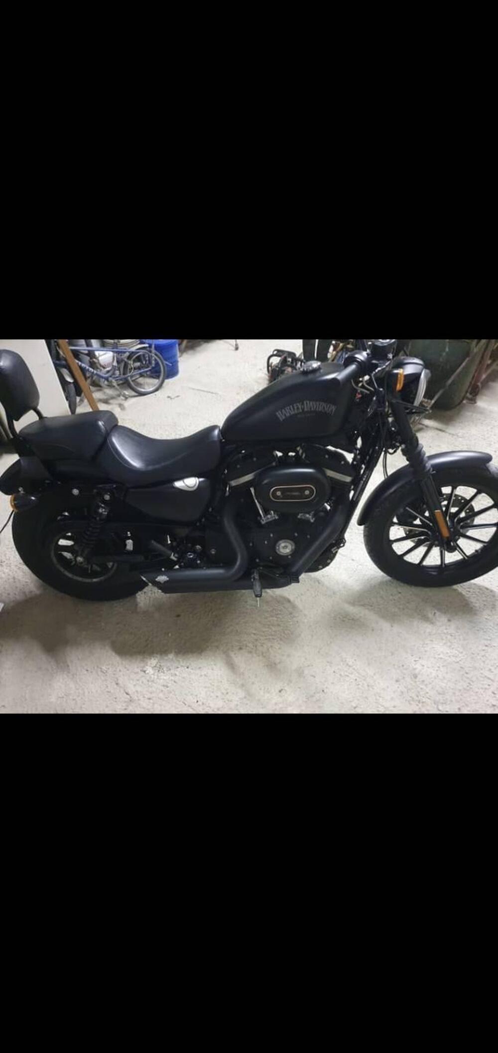 Harley-Davidson 883 Iron (2014 - 16) - XL 883N (2)