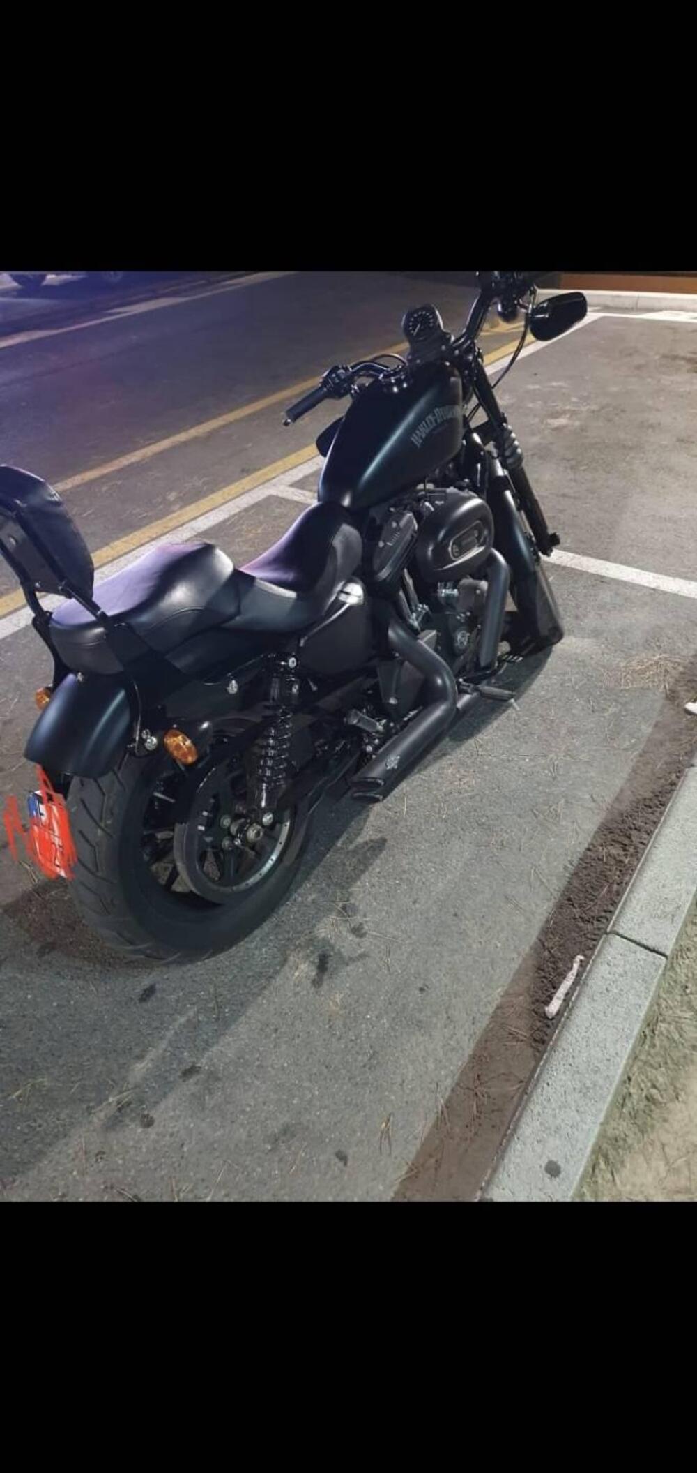 Harley-Davidson 883 Iron (2014 - 16) - XL 883N (4)