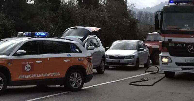 Motociclista perde la vita a causa di un cinghiale