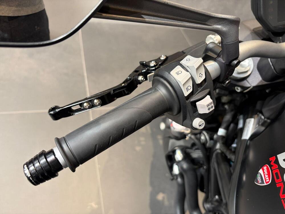 Ducati Monster 821 (2018 - 20) (8)