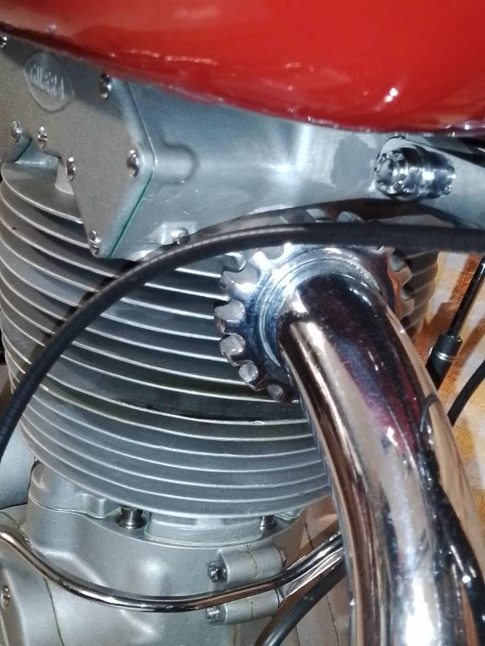 Gilera Saturno Piuma Replica (12)