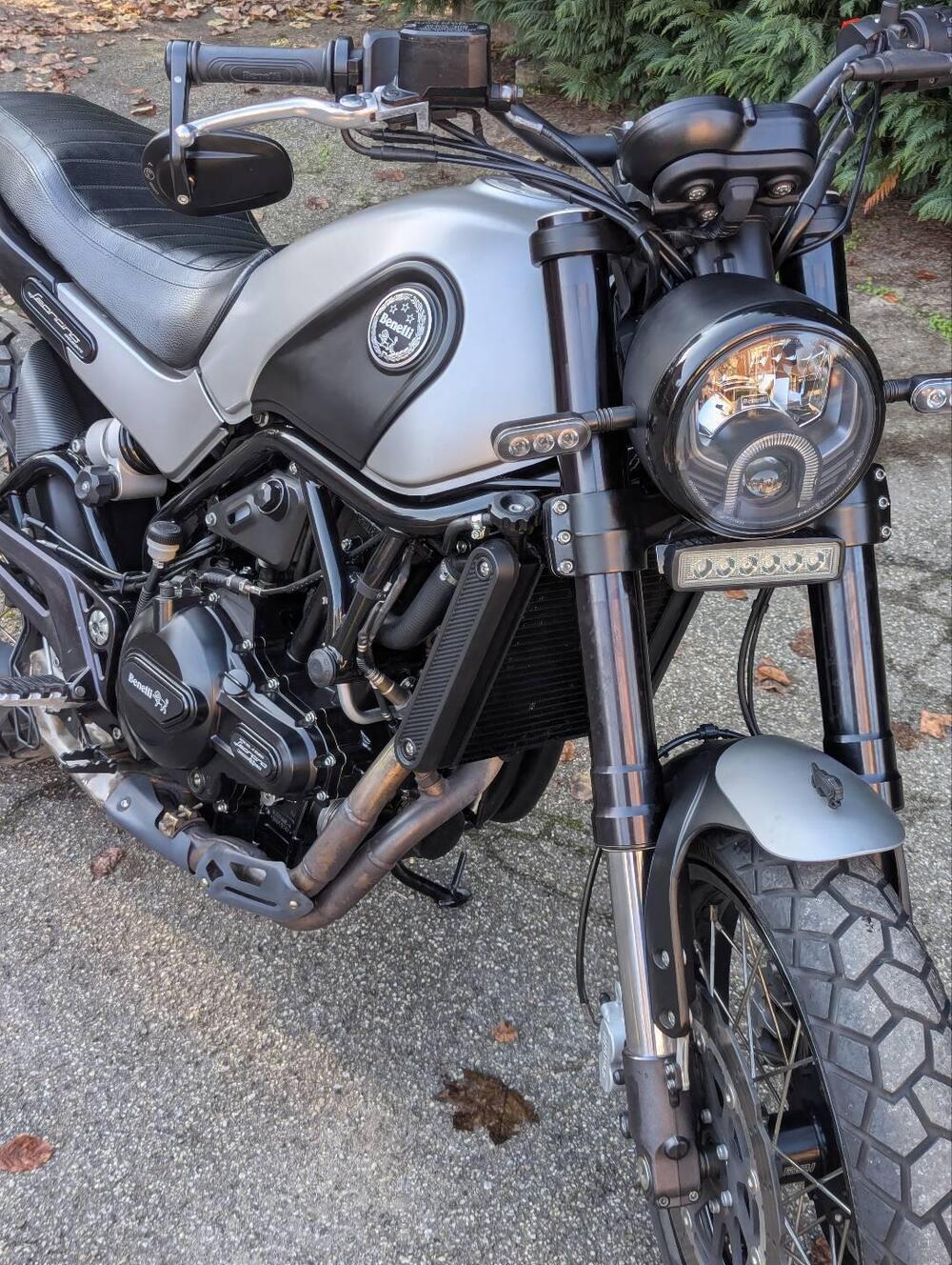 Benelli Leoncino 500 Trail ABS (2017 - 20) (5)