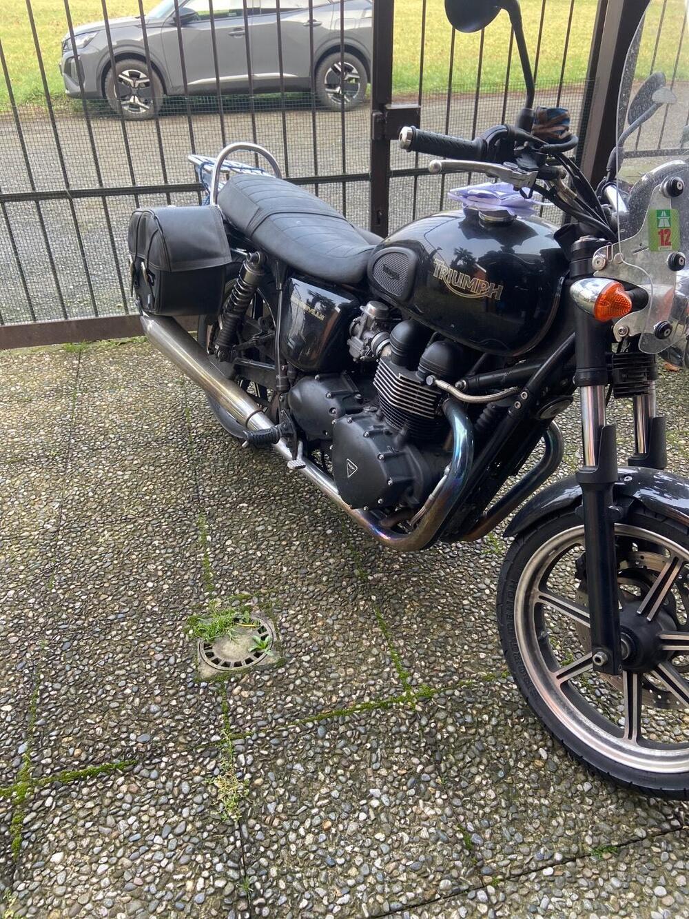 Triumph Bonneville SE (2009 - 13) (2)