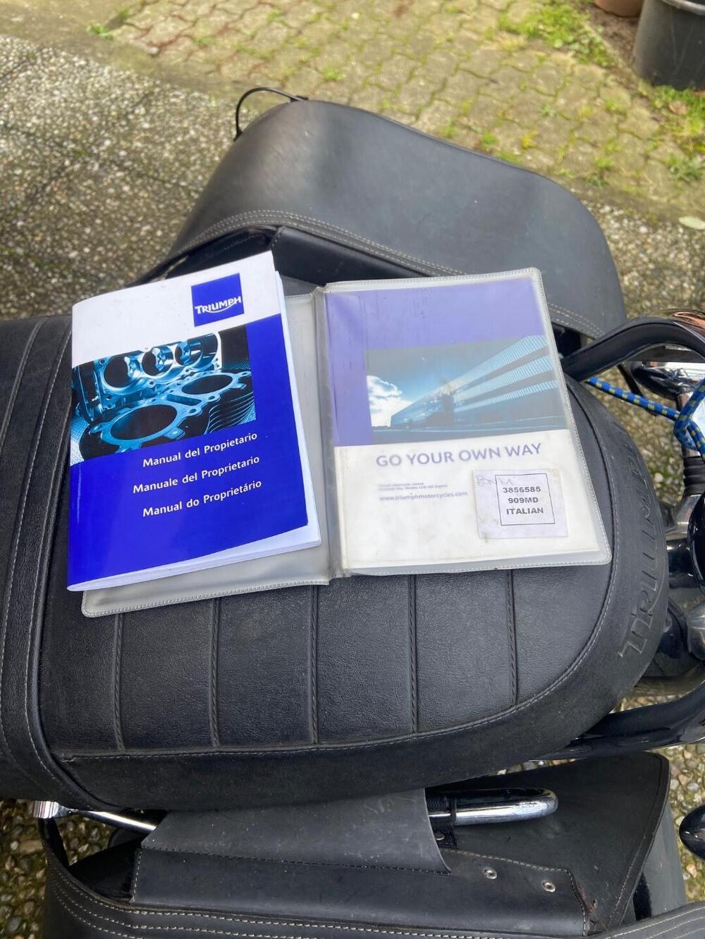 Triumph Bonneville SE (2009 - 13) (3)