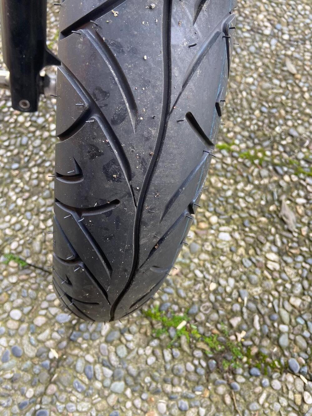 Triumph Bonneville SE (2009 - 13) (8)