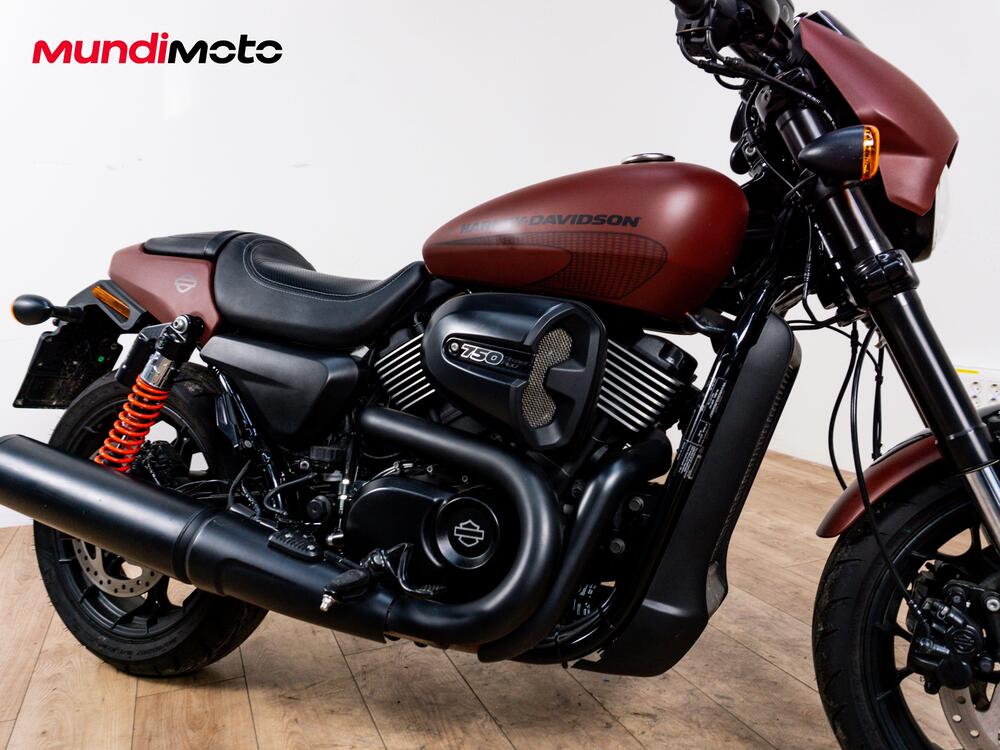 Harley-Davidson 750 Street Rod (2017 - 20) - XG 750 (5)