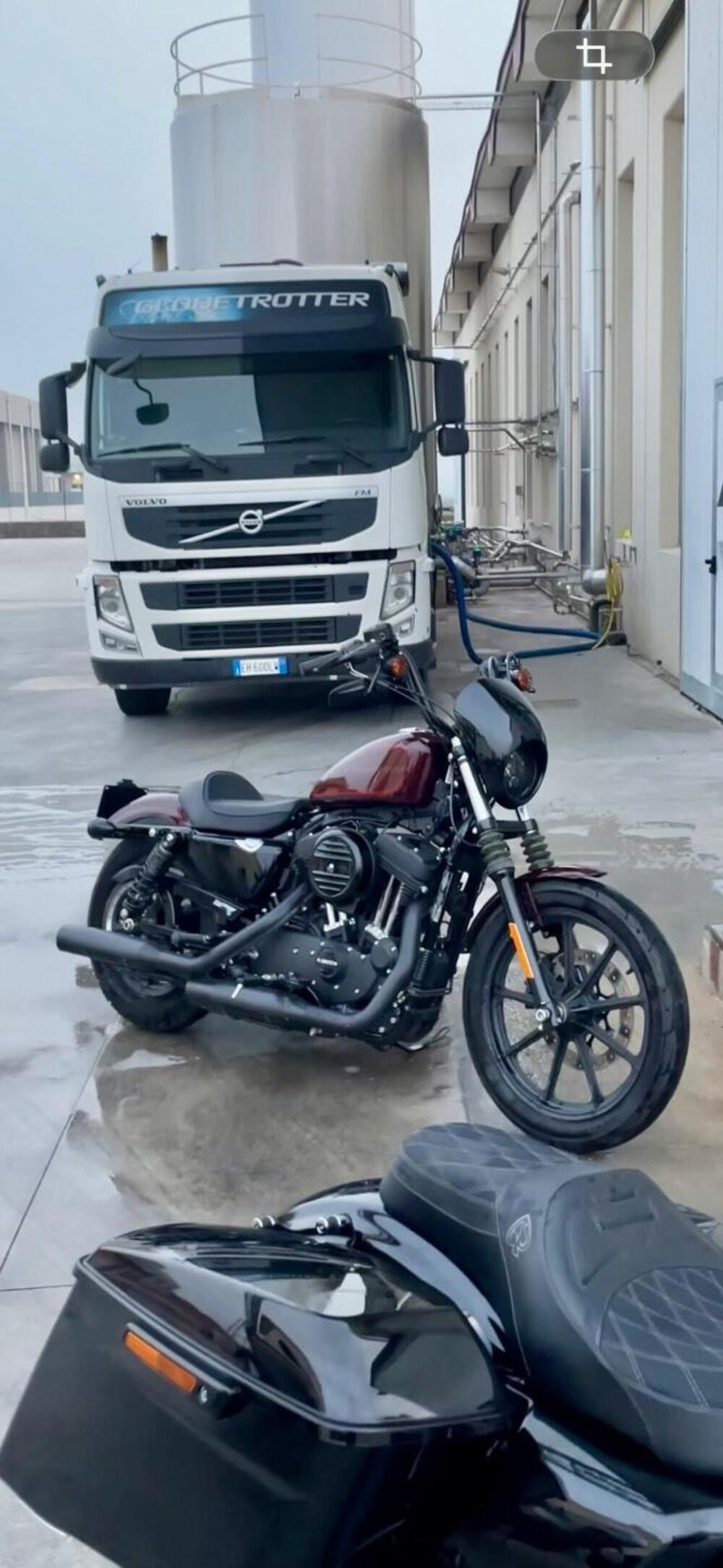 Harley-Davidson 1200 Iron (2018 - 20) - XL1200N (5)