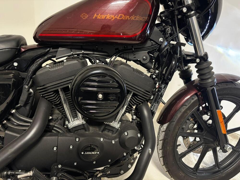 Harley-Davidson 1200 Iron (2018 - 20) - XL1200N (8)