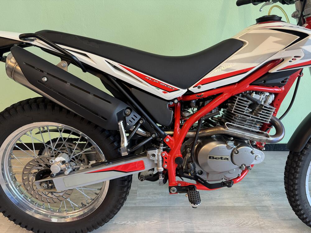 Betamotor Alp 200 (2021 - 25) (4)