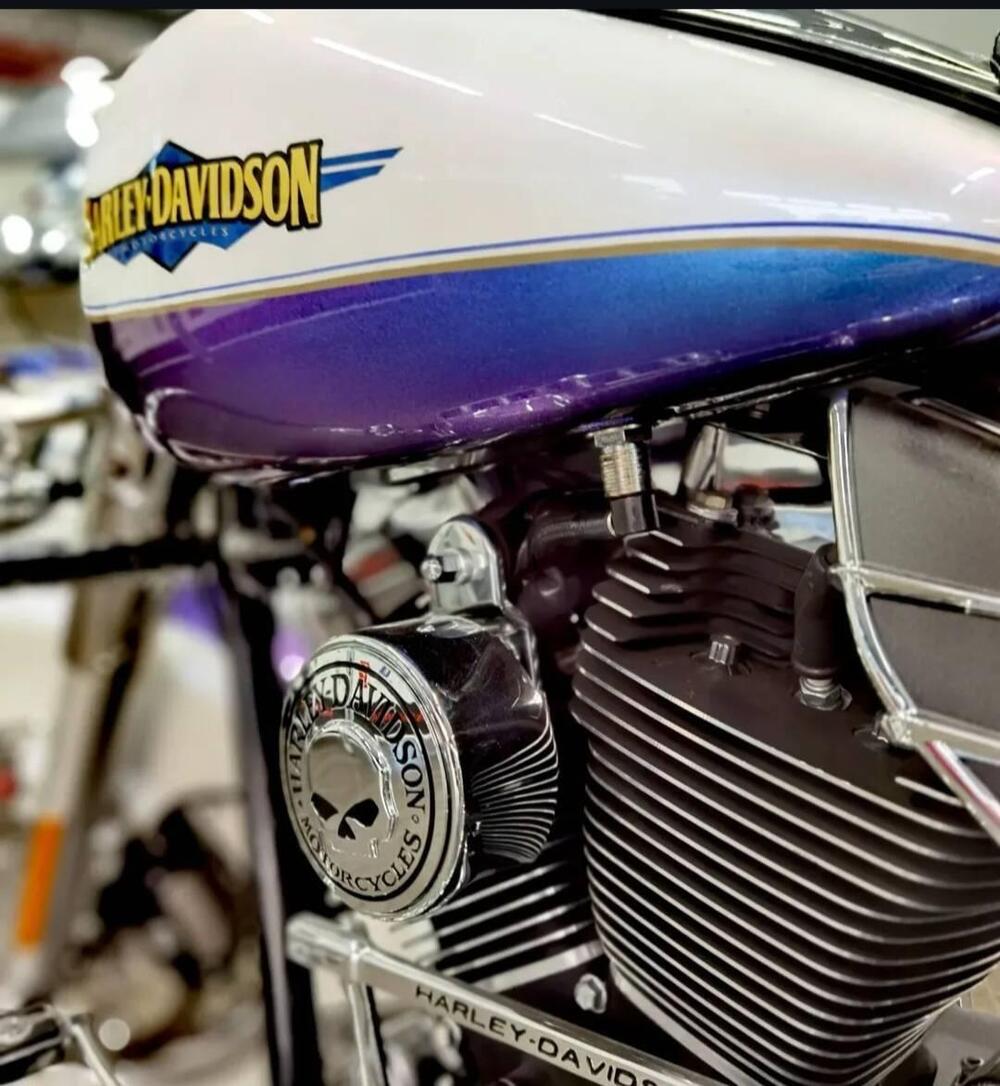 Harley-Davidson 1584 Road King Classic (2007 - 11) - FLHRCI (6)