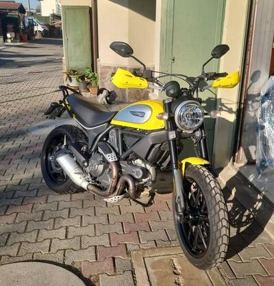 Ducati Scrambler 800 Icon (2015 - 16) usata