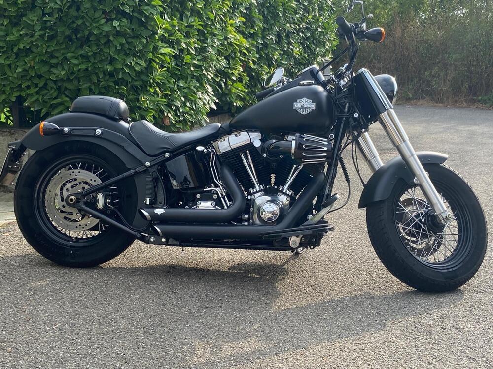 Harley-Davidson 1690 Slim (2011 - 16) - FLS (2)