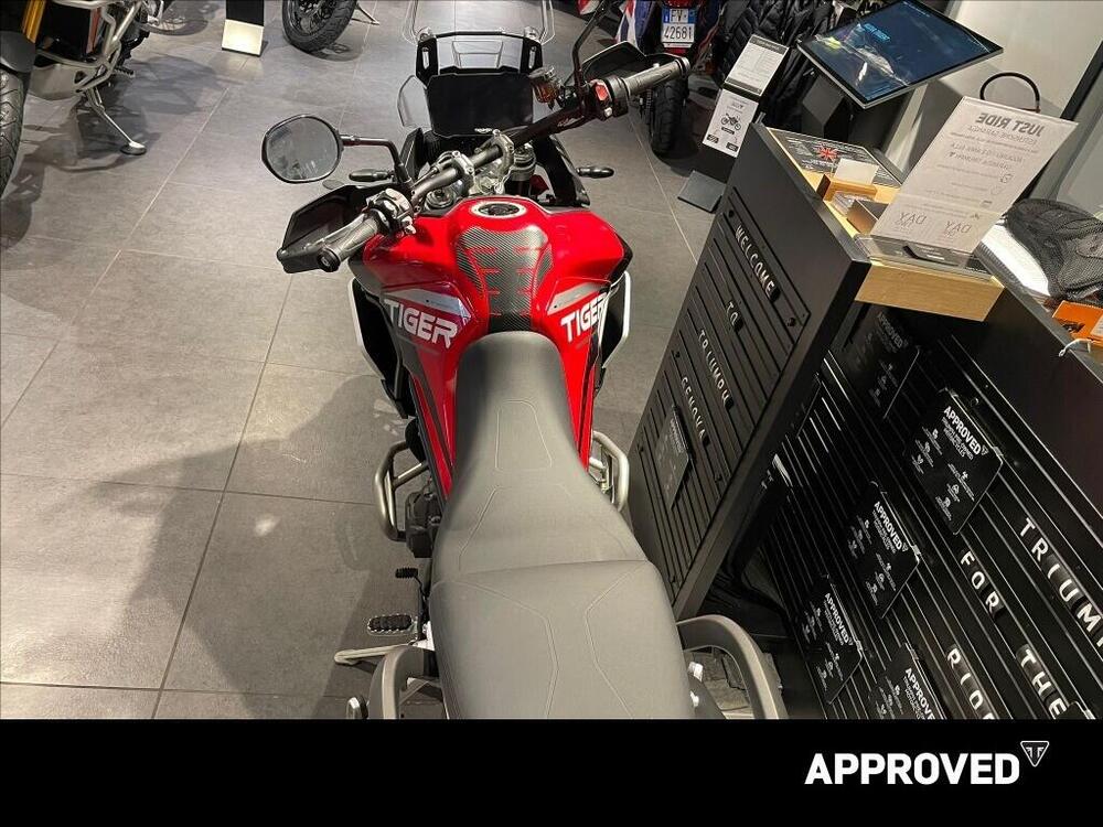 Triumph Tiger 900 GT Aragón Edition (2023 - 24) (8)