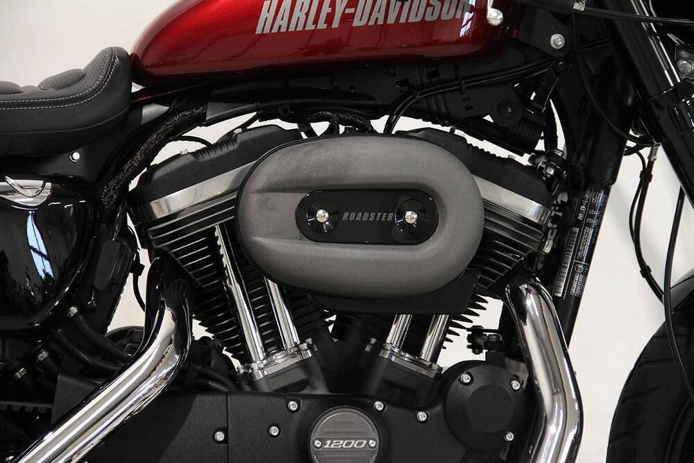 Harley-Davidson 1200 Roadster (2016 - 2017) - XL 1200R (4)