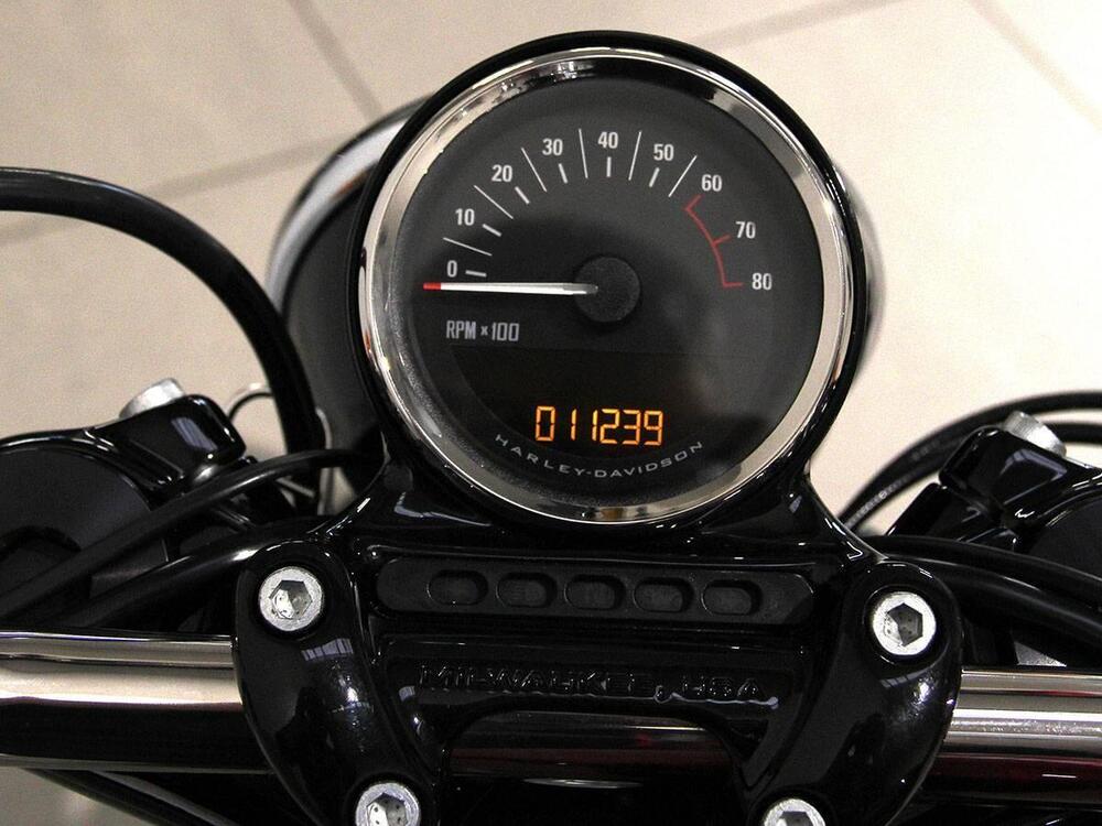 Harley-Davidson 1200 Roadster (2016 - 2017) - XL 1200R (10)