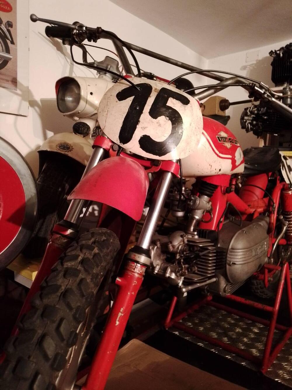 Aermacchi Harley-Davidson Cross Ala  Oro 250 ex Pasolini