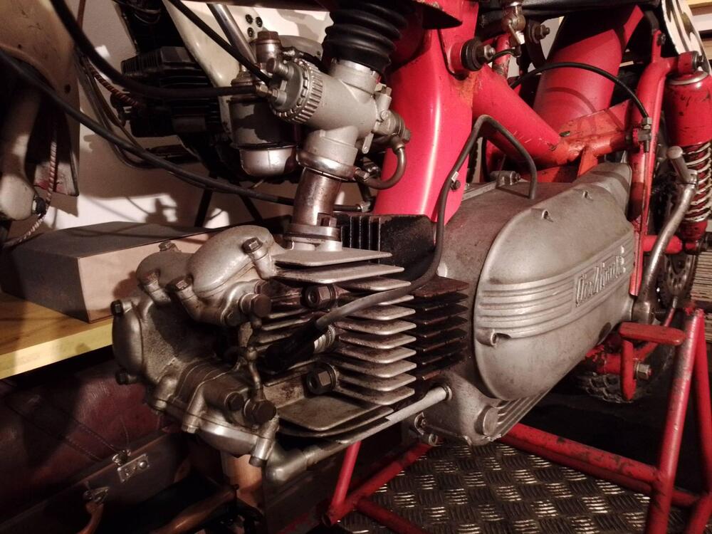 Aermacchi Harley-Davidson Cross Ala  Oro 250 ex Pasolini (2)