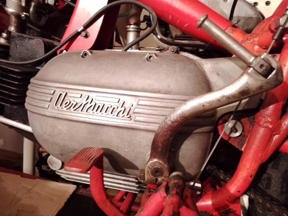 Aermacchi Harley-Davidson Cross Ala  Oro 250 ex Pasolini (3)