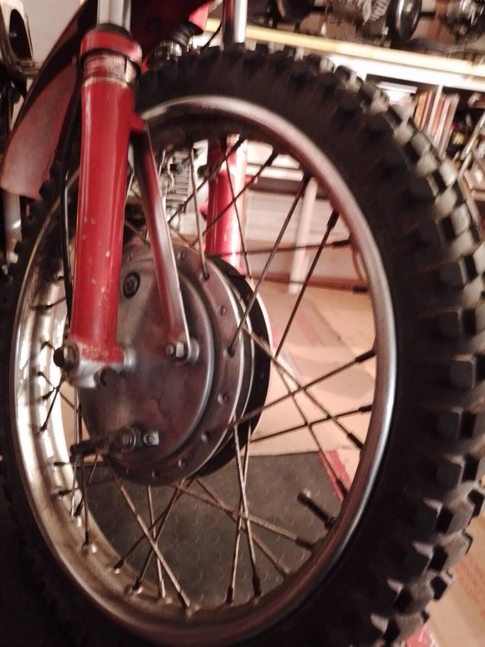 Aermacchi Harley-Davidson Cross Ala  Oro 250 ex Pasolini (4)