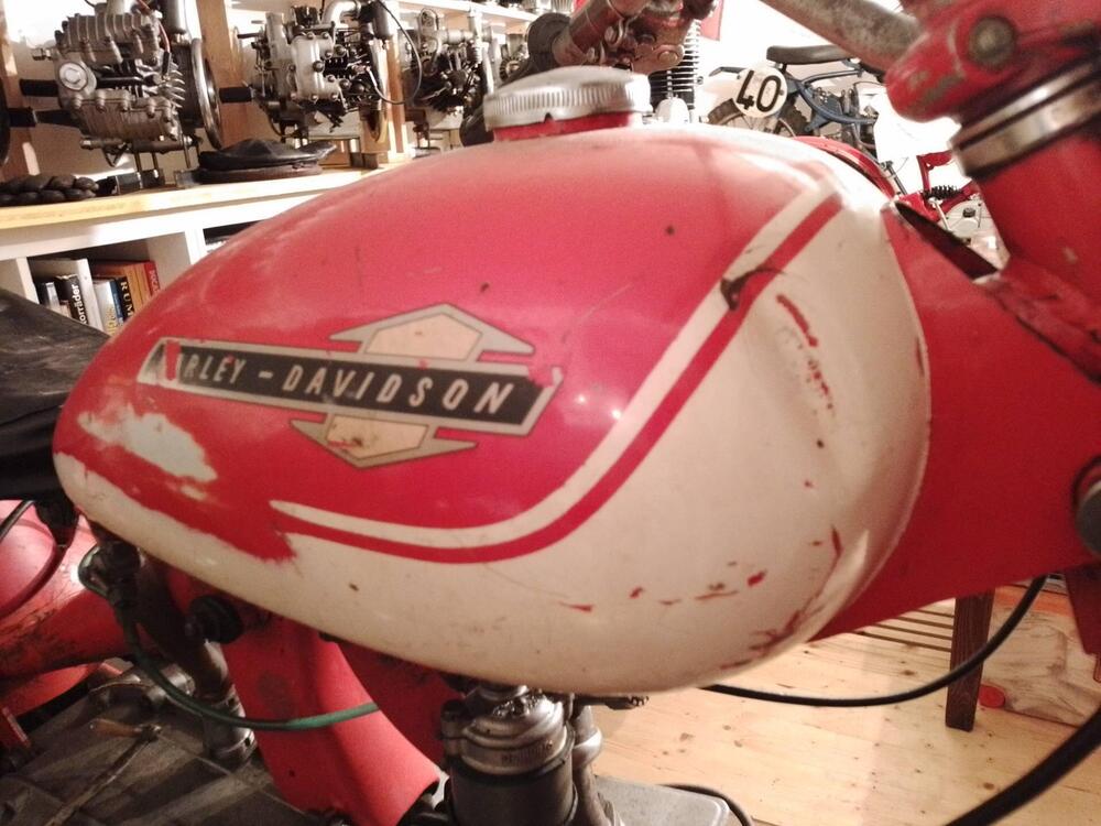 Aermacchi Harley-Davidson Cross Ala  Oro 250 ex Pasolini (5)