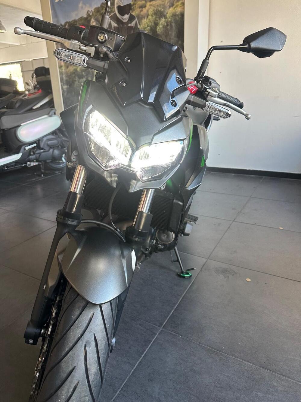 Kawasaki Z 650 (2021 - 24) (8)