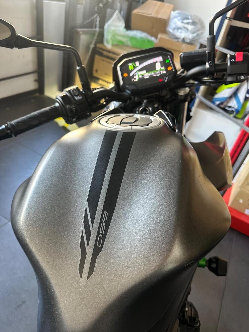 Kawasaki Z 650 (2021 - 24) (10)