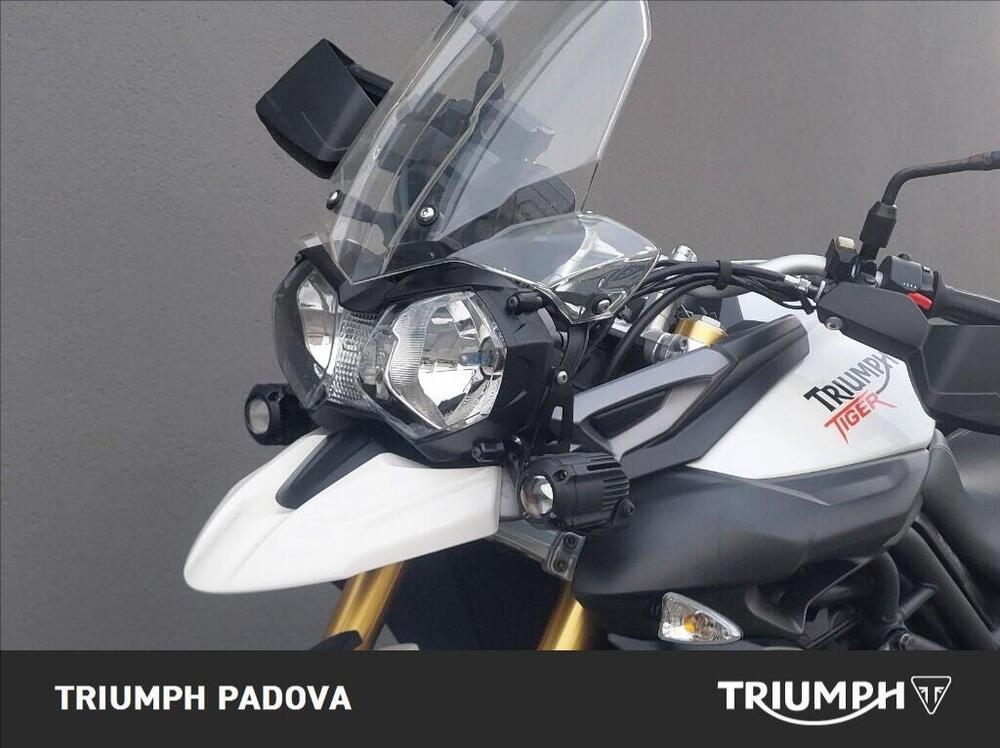 Triumph Tiger 800 ABS (2010 - 14) (10)