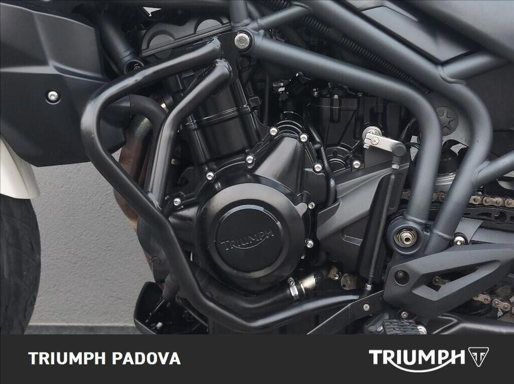 Triumph Tiger 800 ABS (2010 - 14) (8)