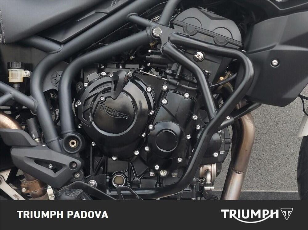 Triumph Tiger 800 ABS (2010 - 14) (3)