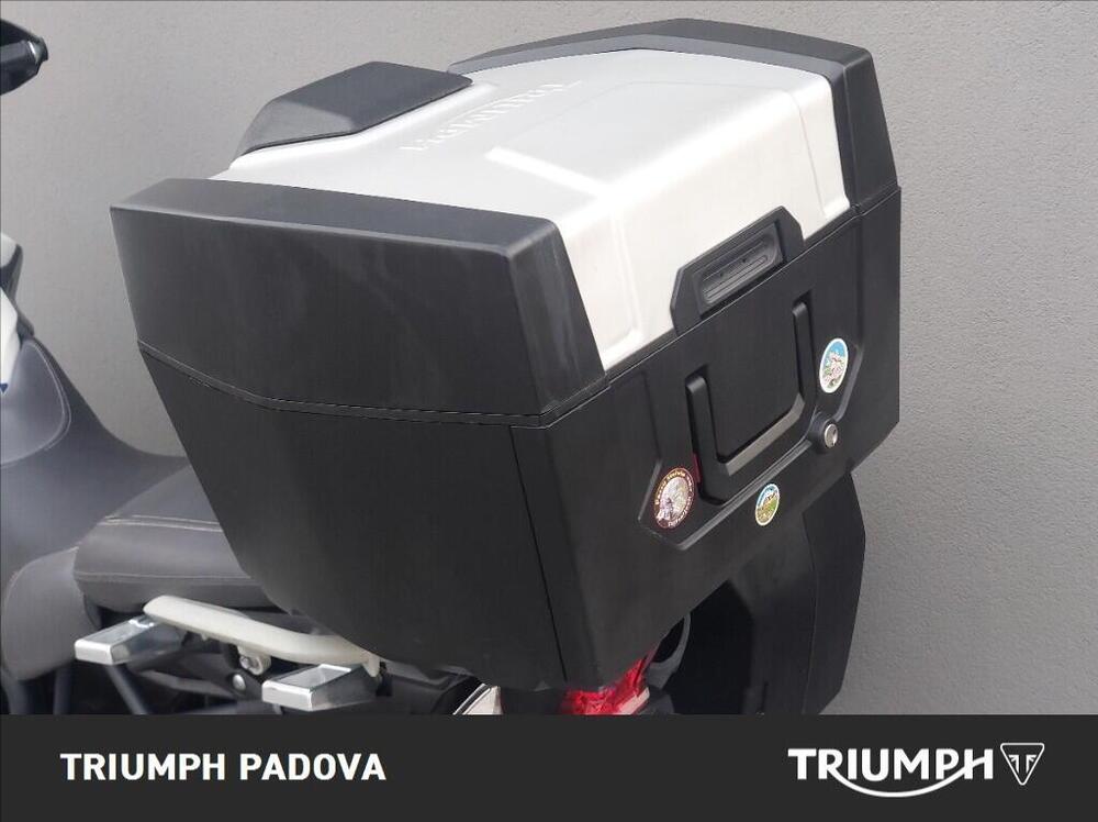 Triumph Tiger 800 ABS (2010 - 14) (15)