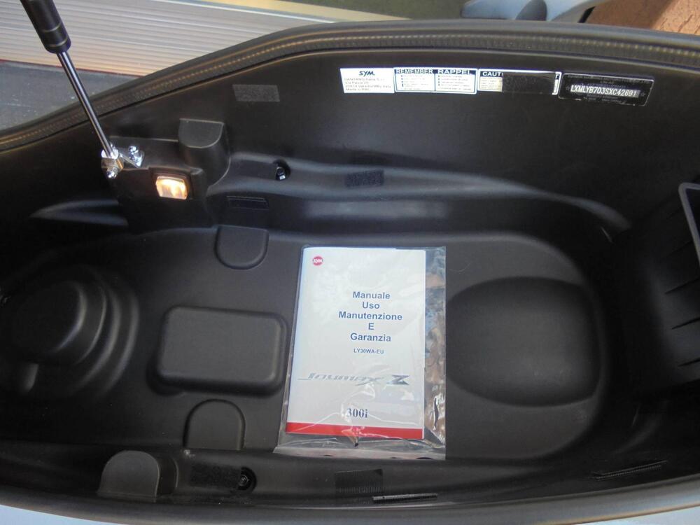 Sym Joymax 300 Z (2025 - 26) (4)