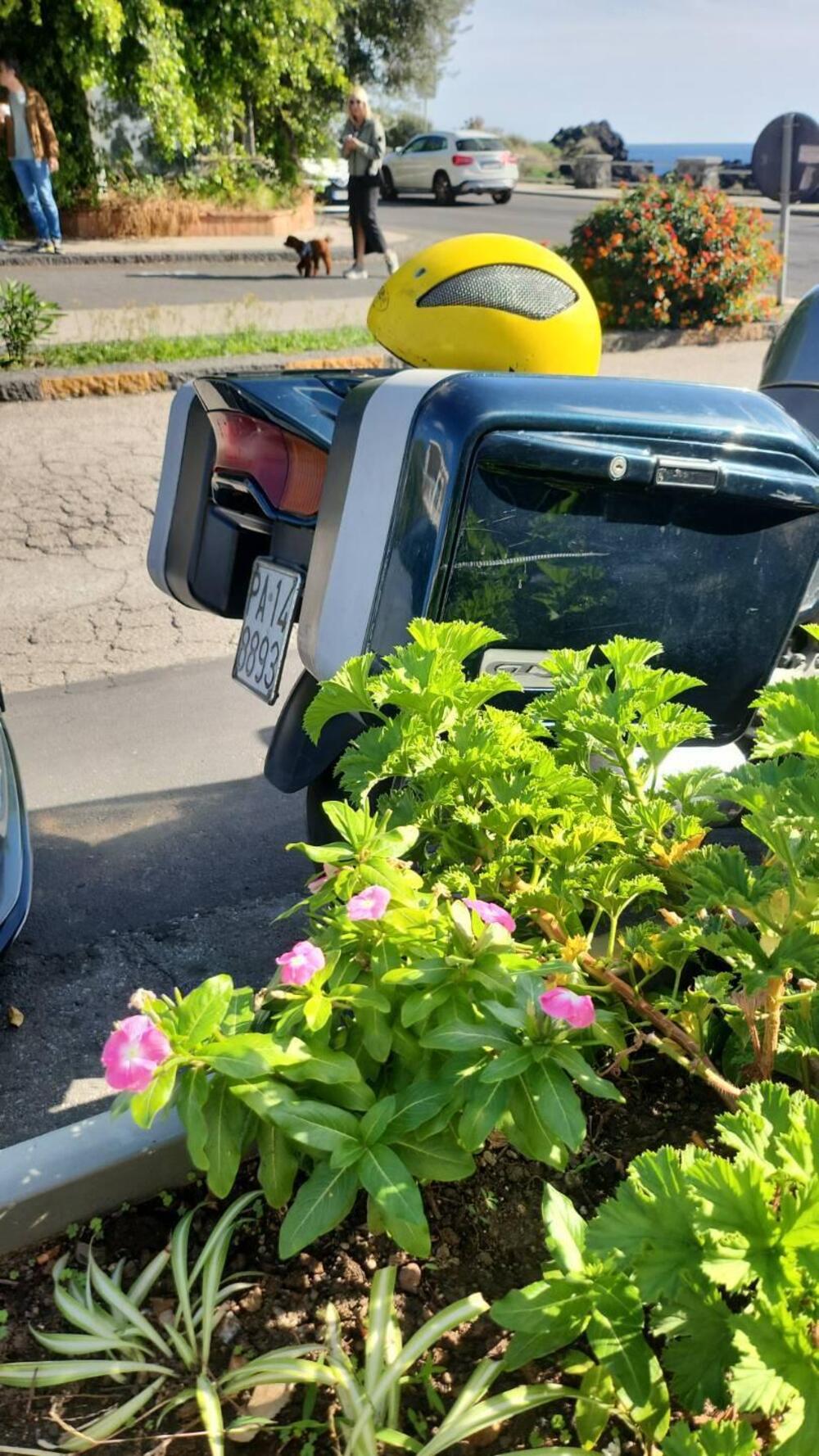 Yamaha GTS 1000 (1993 - 96) (10)