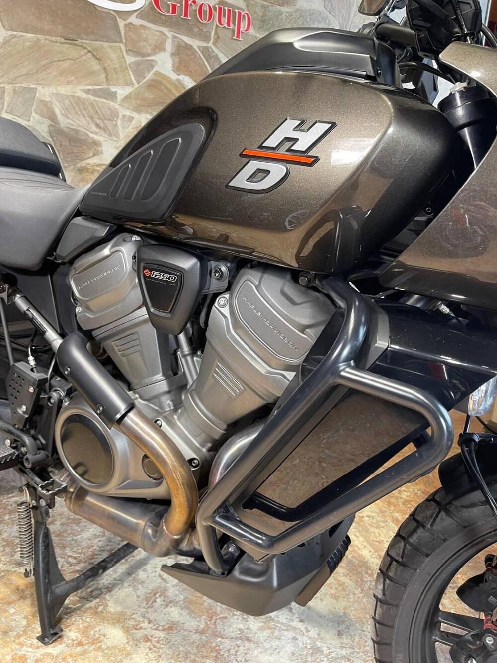 Harley-Davidson Pan America 1250 (2020 - 25) (11)