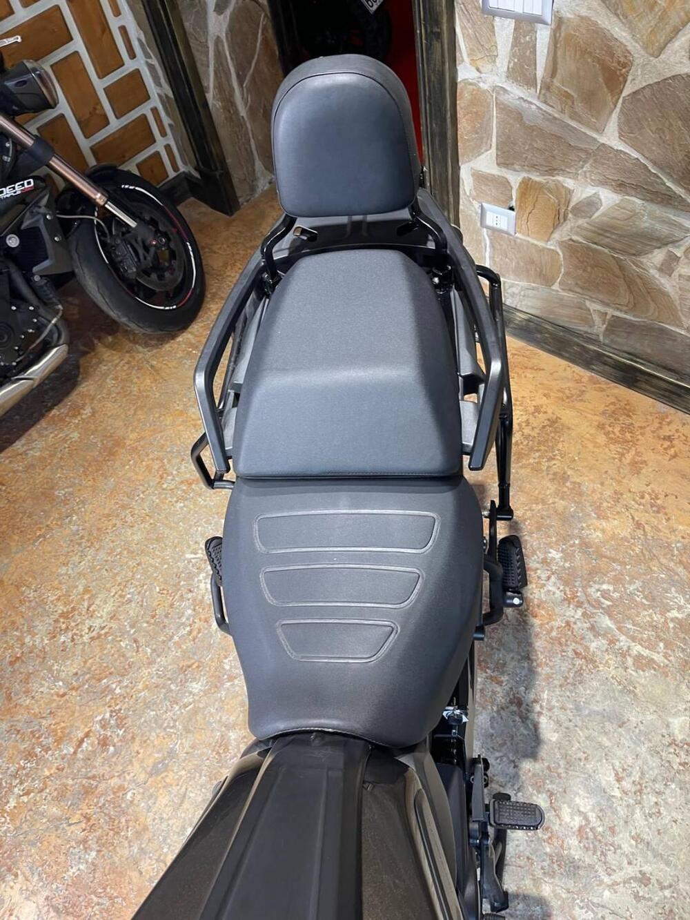 Harley-Davidson Pan America 1250 (2020 - 25) (17)