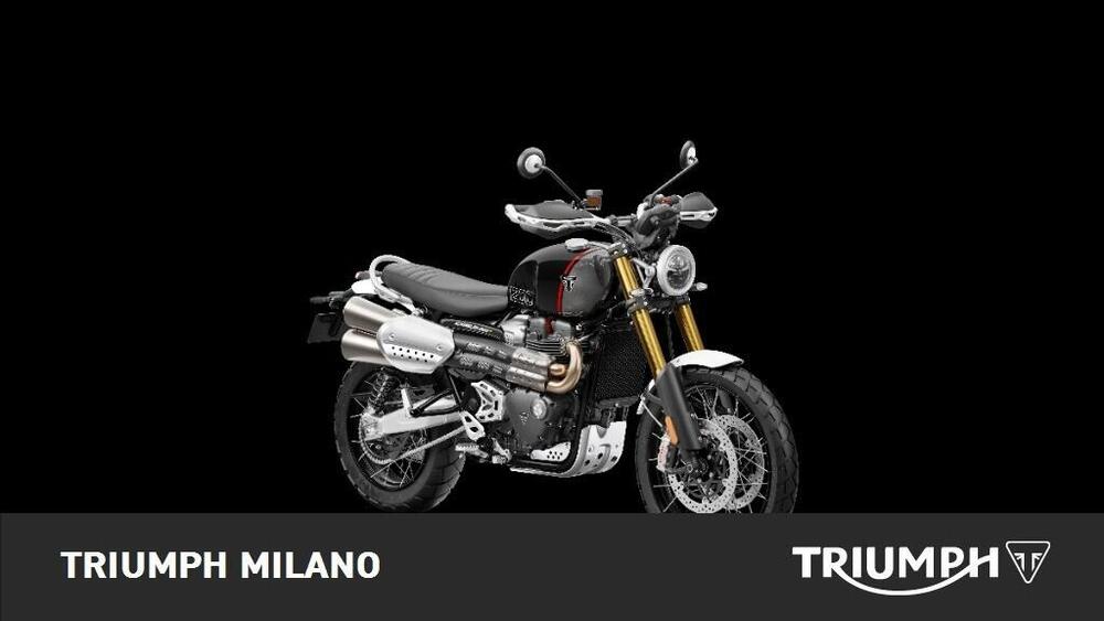 Triumph Scrambler 1200 XE (2024 - 25) (3)