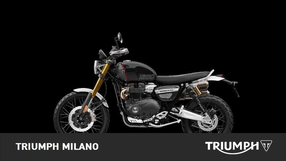 Triumph Scrambler 1200 XE (2024 - 25) (4)