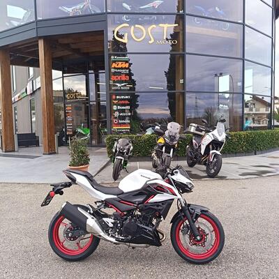Kawasaki Z 500 SE (2024 - 26) nuova