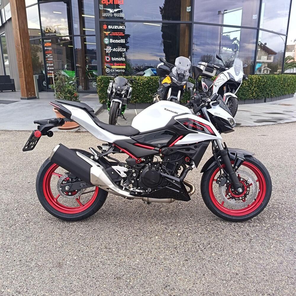 Kawasaki Z 500 SE (2024 - 26) (2)