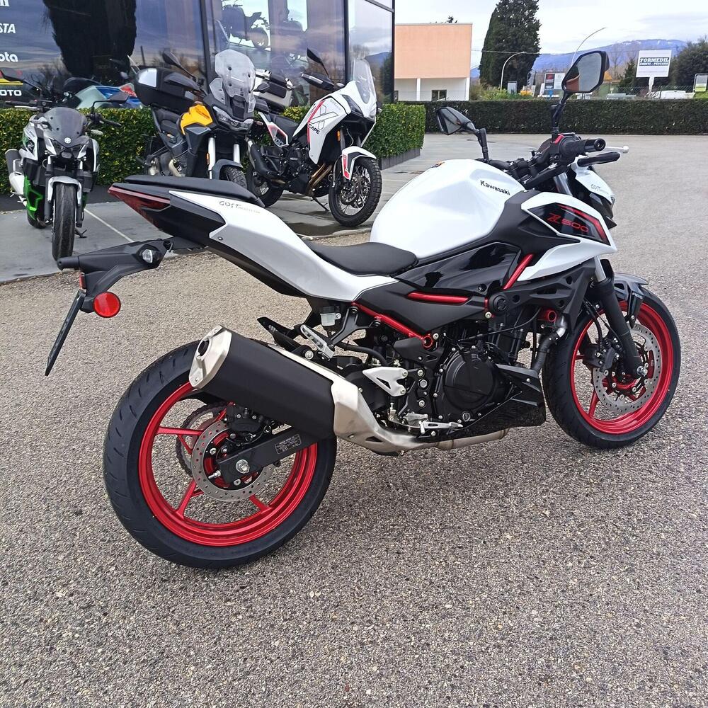 Kawasaki Z 500 SE (2024 - 26) (4)
