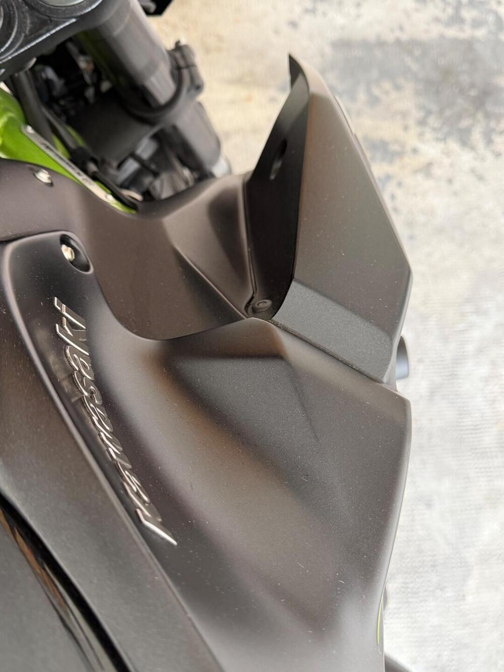 Kawasaki Z 900 (2021 - 24) (6)