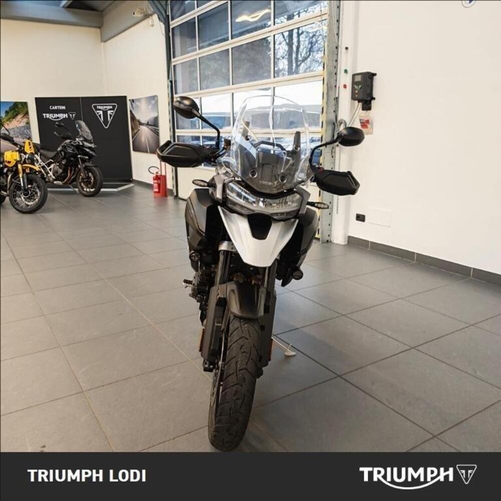 Triumph Tiger 1200 GT Pro (2024 - 26) (6)